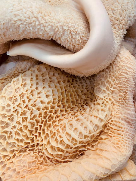 Burtă curată de vită