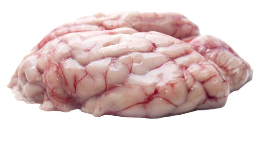 Creier de porc