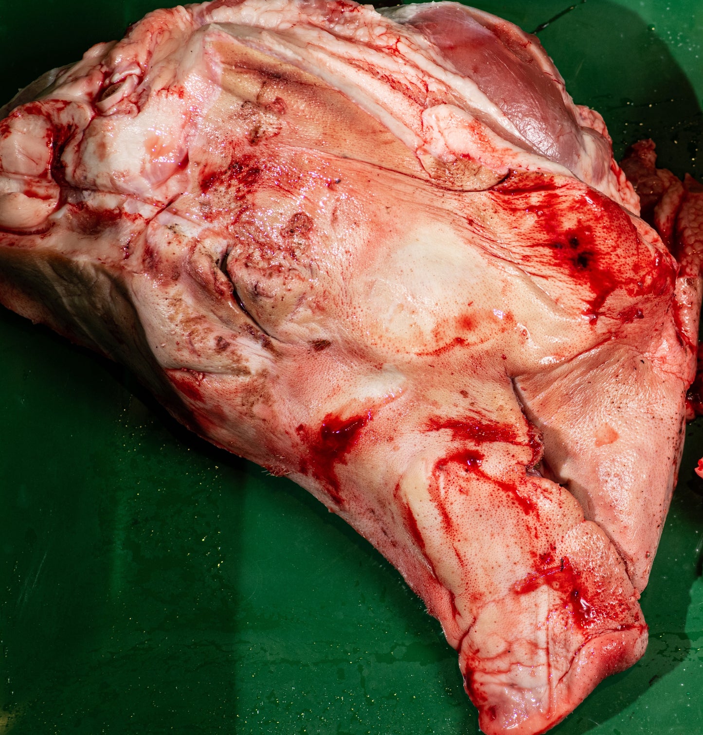 Cap de porc JUMĂTĂŢI